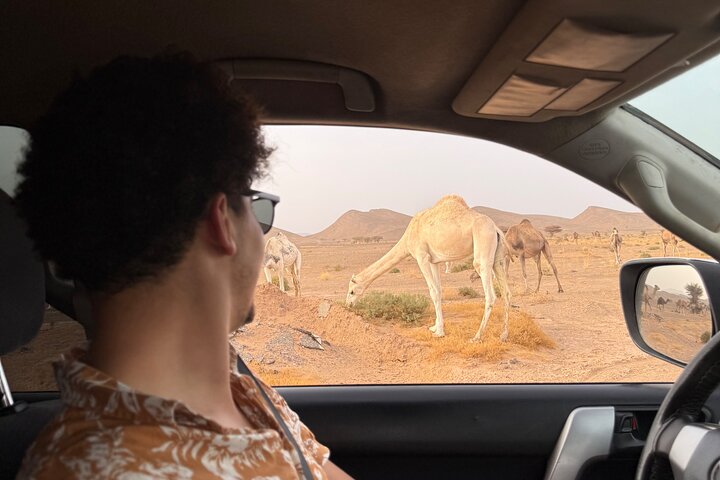 13 Days Morocco Tour from Tangier