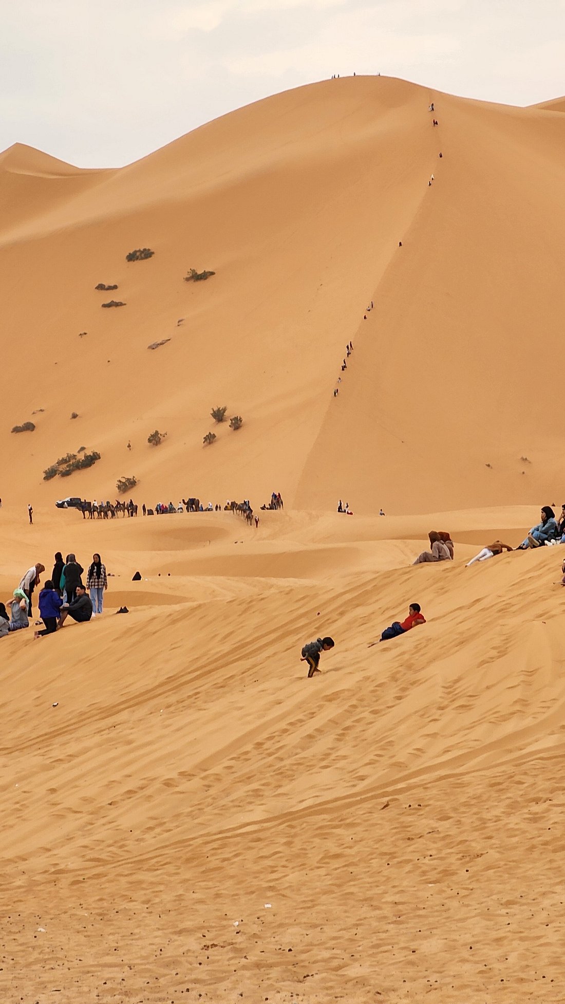 7-Day Desert Tour from Tangier to Marrakech